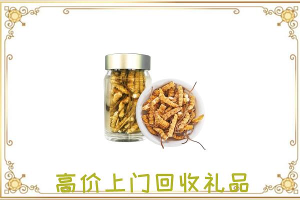 龙安区周边回收虫草